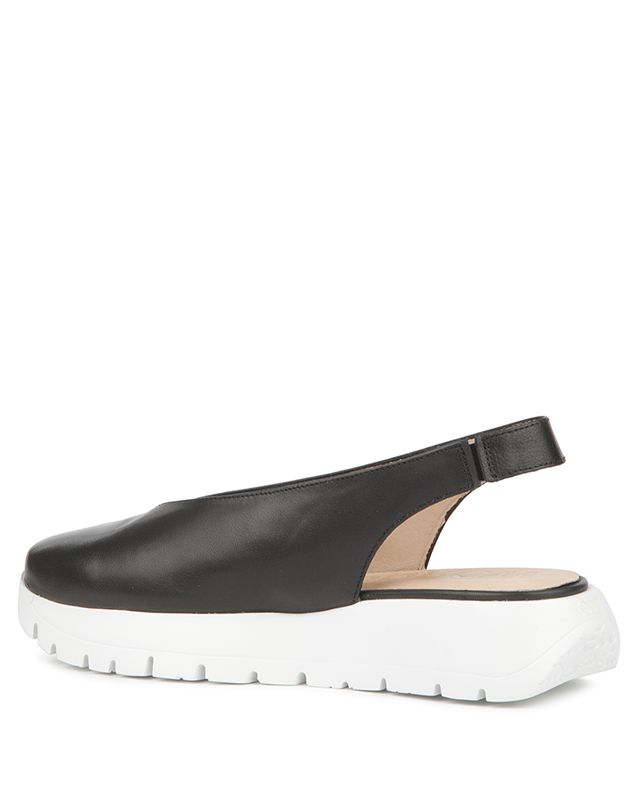 Wonders - A-86111 Gabriela in Black Velvet Wonders - A-86111 Gabriela in Black Velvet